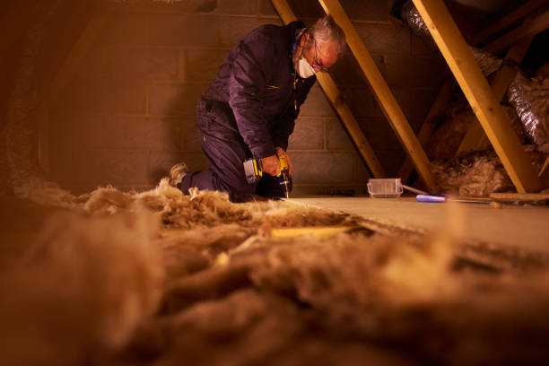 Best Cellulose Insulation  in Prospect, PA